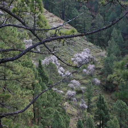 Casa Rural El Riachuelo Garafía المظهر الخارجي الصورة