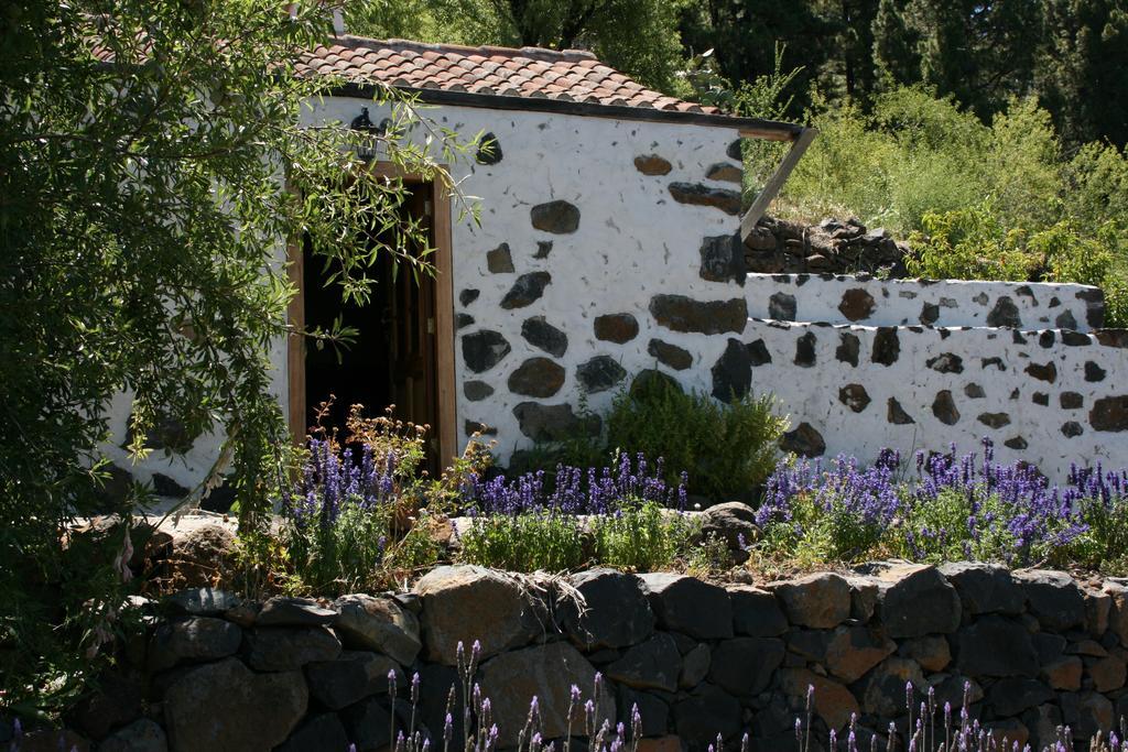 Casa Rural El Riachuelo Garafía المظهر الخارجي الصورة