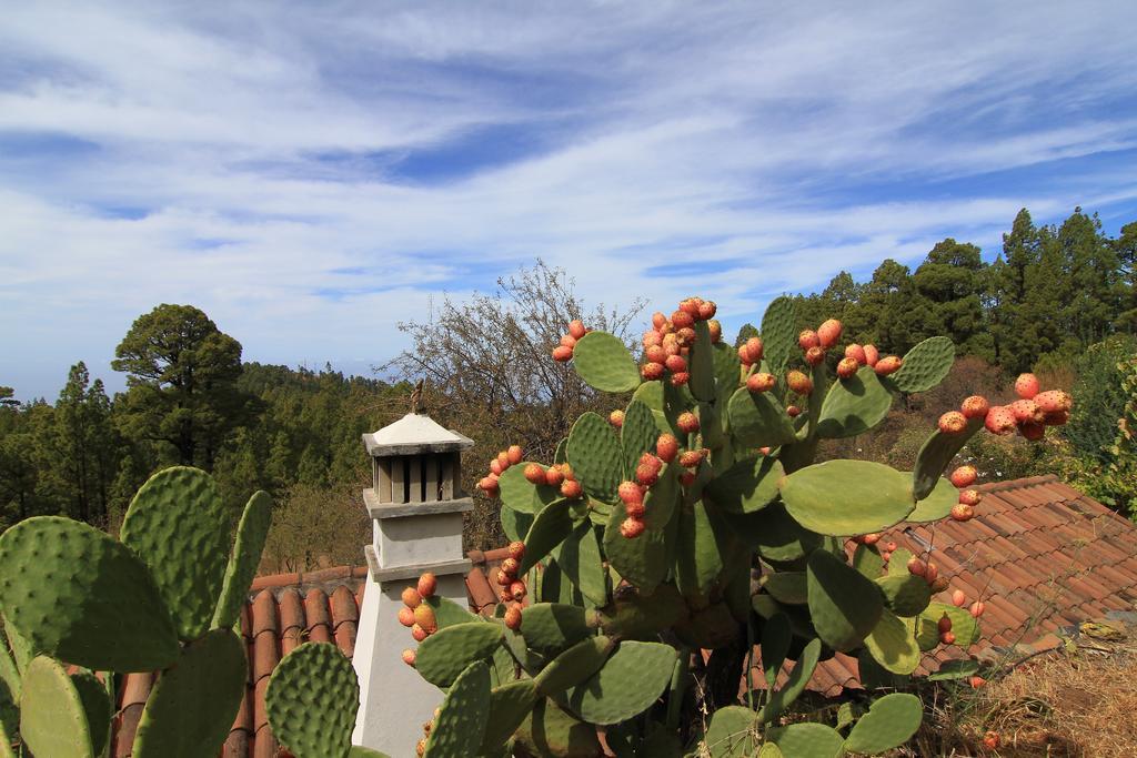 Casa Rural El Riachuelo Garafía المظهر الخارجي الصورة